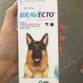 Viên Nhai Bravecto Trị Ghẻ Demodex Chó 20-40kg