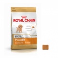 ROYAL CANIN POODLE JUNIOR gói 500gr