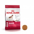 ROYAL CANIN MEDIUM ADULT bao 4kg