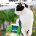 CAT'S BEST - CUỘC CÁCH MẠNG XANH TRONG NGÀNH CÁT VỆ SINH