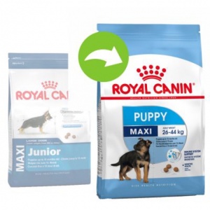 ROYAL CANIN MAXI PUPPY Gói 1kg Và 4kg