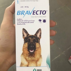 Viên Nhai Bravecto Trị Ghẻ Demodex Chó 20-40kg