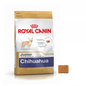 Thức ăn cho CHÓ CON Royal Canin CHIHUAHUA JUNIOR- 500GR