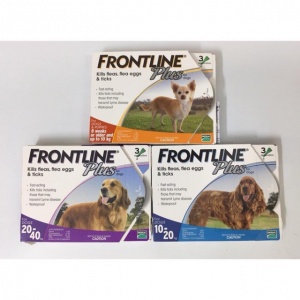 Dung dịch nhỏ gáy Frontline Plus phòng ve,bọ chét cho chó 20-40 Kg