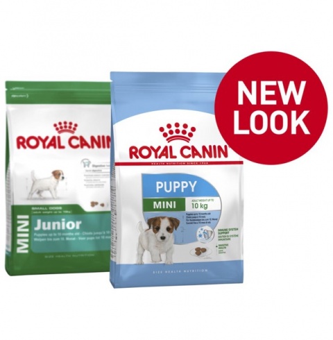 Thức Ăn Hạt Khô Cho Giống Chó Nhỏ Royal Canin MINI JUNIOR Gói 800gr