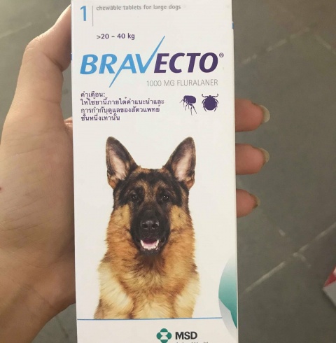 Viên Nhai Bravecto Trị Ghẻ Demodex Chó 20-40kg