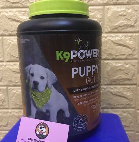 Bột dưỡng lông và tăng cân K9 Power PUPPY GOLD cho chó con và chó mẹ 1.8kg