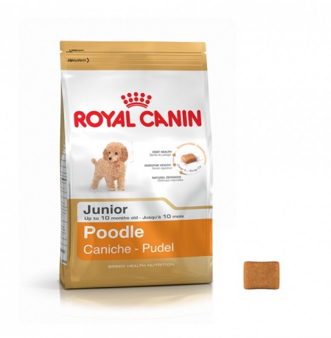 ROYAL CANIN POODLE JUNIOR gói 500gr