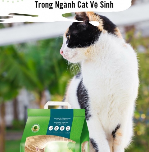 CAT'S BEST - CUỘC CÁCH MẠNG XANH TRONG NGÀNH CÁT VỆ SINH