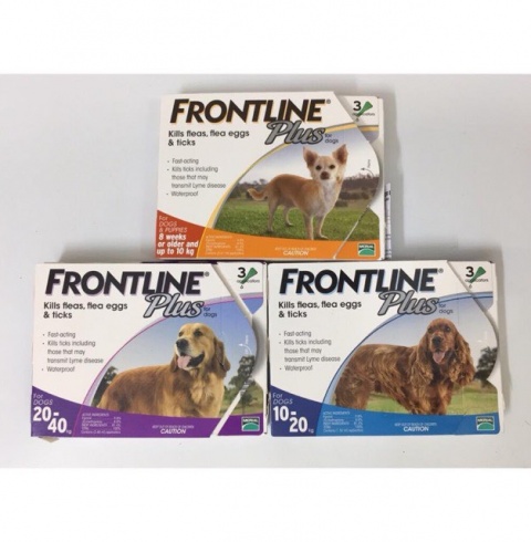 Dung dịch nhỏ gáy Frontline Plus phòng ve,bọ chét cho chó 20-40 Kg